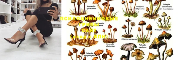 спиды Верхний Тагил