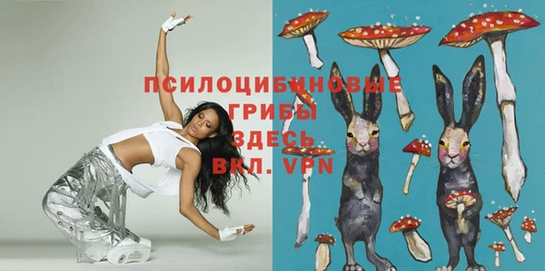 a pvp Володарск