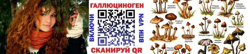 blacksprut вход  Вышний Волочёк  Галлюциногенные грибы прущие грибы 